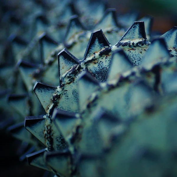 澳门天空彩票老虎机